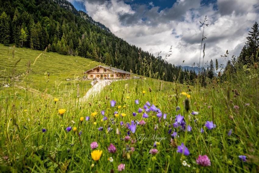 فيلا Hinterkeilhof بيسخوفسويسن المظهر الخارجي الصورة